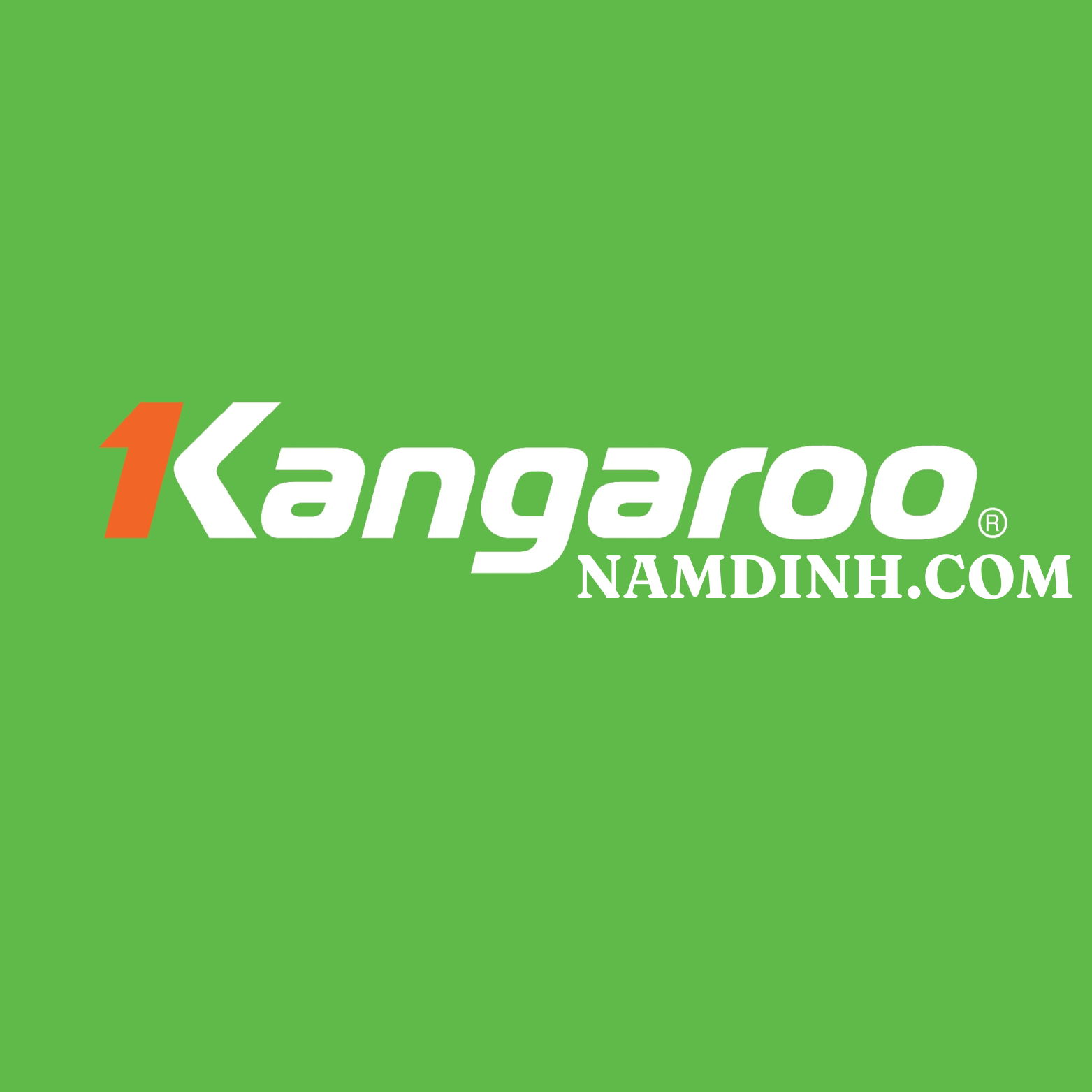 kangaroonamdinh.com